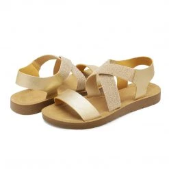 DREAM PAIRS Women's Ankle Strap Flat Sandals